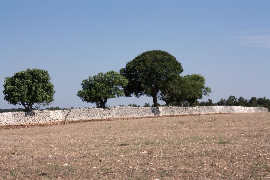 Trulli Sarmenzanello Apartment Noci Bilik gambar