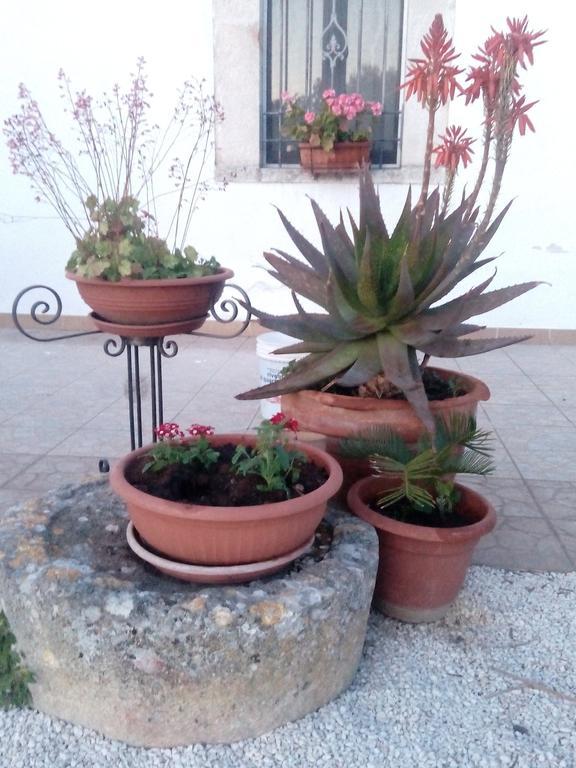 Trulli Sarmenzanello Apartment Noci Luaran gambar